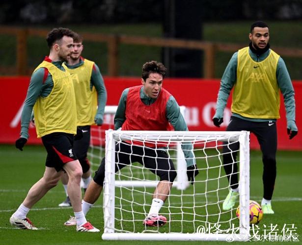 TA:因姆伯莫等球员备战非洲杯,曼联调整至433阵型演练 TA:因姆伯莫等球员备战非洲杯,曼联调整至433阵型演练